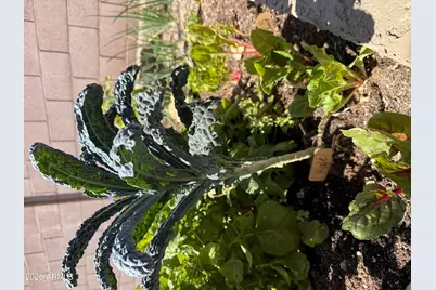 4111 E Molly Lane, Cave Creek, AZ 85331 - Photo 68