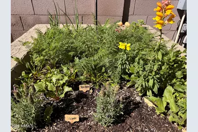 4111 E Molly Lane, Cave Creek, AZ 85331 - Photo 70