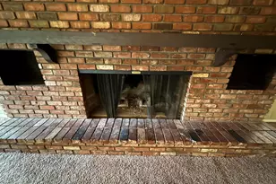 6258 W Wolf St, Phoenix, AZ 85033 - Photo 14