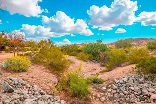 8596 S San Filipe Dr, Goodyear, AZ 85338 - Photo 64