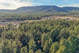 5920 W Robin Way, Pine, AZ 85544 - Photo 22