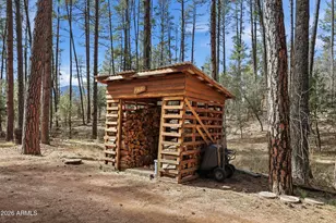 5920 W Robin Way, Pine, AZ 85544 - Photo 40