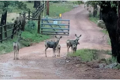 396 S Leisure Road, Payson, AZ 85541 - Photo 58