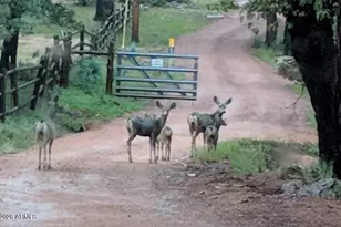 396 S Leisure Rd, Payson, AZ 85541 - Photo 58