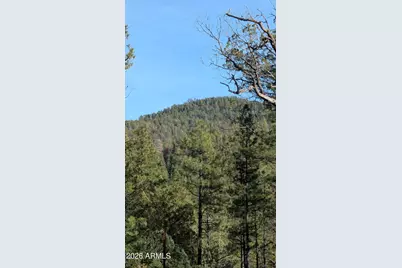 396 S Leisure Road, Payson, AZ 85541 - Photo 56