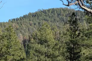 396 S Leisure Rd, Payson, AZ 85541 - Photo 56