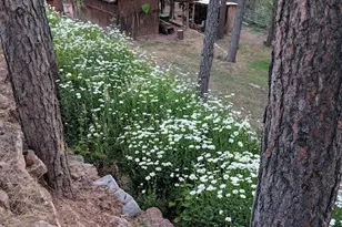 396 S Leisure Rd, Payson, AZ 85541 - Photo 42