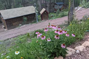 396 S Leisure Rd, Payson, AZ 85541 - Photo 48