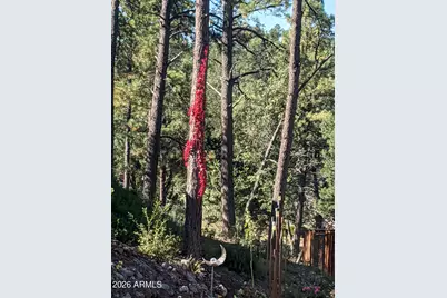 396 S Leisure Road, Payson, AZ 85541 - Photo 52