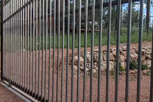 396 S Leisure Rd, Payson, AZ 85541 - Photo 56