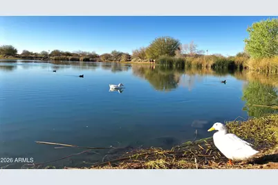 4111 E Yellowstone Place, Chandler, AZ 85249 - Photo 58