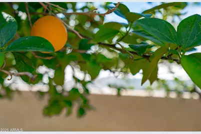 9654 N 18th Street, Phoenix, AZ 85020 - Photo 46