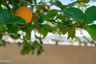 9654 N 18th St, Phoenix, AZ 85020 - Photo 46