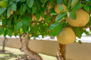 9654 N 18th St, Phoenix, AZ 85020 - Photo 44