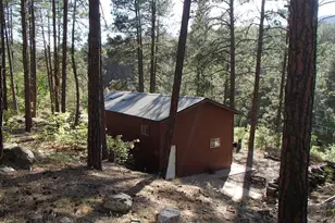 7345 E Crown King Rd, Crown King, AZ 86343 - Photo 4