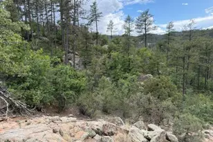 7345 E Crown King Rd, Crown King, AZ 86343 - Photo 26