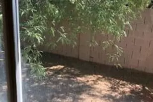 1235 E Wood St, Phoenix, AZ 85040 - Photo 12