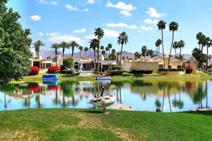 10010 E Sunnyslope Ln, Scottsdale, AZ 85258 - Photo 38