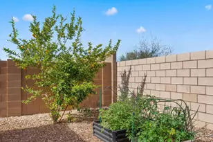 10562 E Corbin Ave, Mesa, AZ 85212 - Photo 36