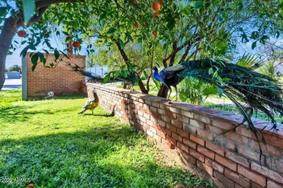 4004 E McKellips Road #1-101, Mesa, AZ 85215 - Photo 2