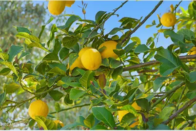 2497 E Ivanhoe Court, Gilbert, AZ 85295 - Photo 56