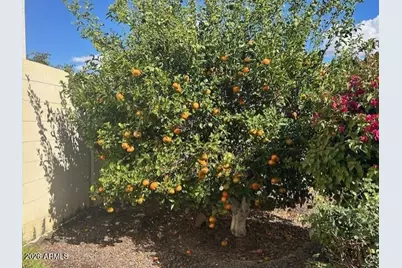 18324 W Oregon Avenue, Litchfield Park, AZ 85340 - Photo 28