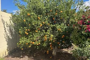 18324 W Oregon Ave, Litchfield Park, AZ 85340 - Photo 28