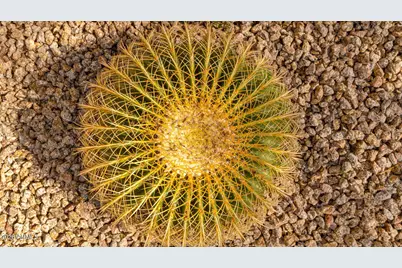 4248 E Desert Sky Court, Cave Creek, AZ 85331 - Photo 52