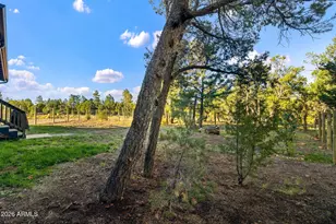 1514 Shade Tree Dr, Heber, AZ 85928 - Photo 38