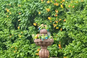 4710 N 78th St, Scottsdale, AZ 85251 - Photo 40