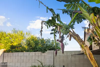 10762 W Bronco Trail, Peoria, AZ 85383 - Photo 44