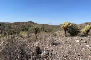 3246 N Silver Tip Trail, Queen Valley, AZ 85118 - Photo 134