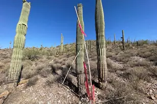 3246 N Silver Tip Trail, Queen Valley, AZ 85118 - Photo 136