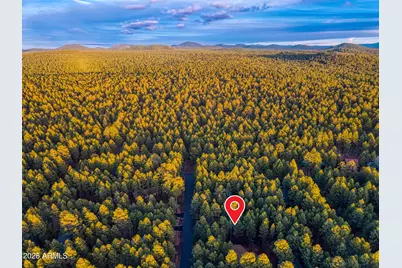 8667 Alchesay Drive, Pinetop, AZ 85935 - Photo 32