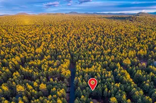 8667 Alchesay Dr, Pinetop, AZ 85935 - Photo 32