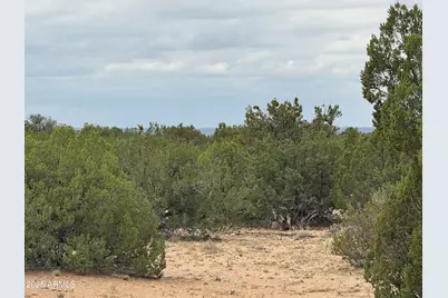 Lot 78 Witch Well Ranches -- #78, Saint Johns, AZ 85936 - Photo 12