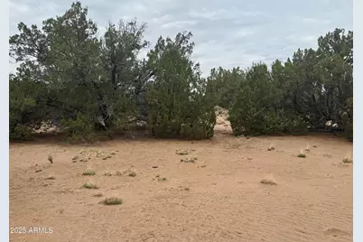 Lot 78 Witch Well Ranches -- #78, Saint Johns, AZ 85936 - Photo 8
