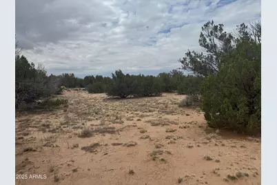 Lot 78 Witch Well Ranches -- #78, Saint Johns, AZ 85936 - Photo 6