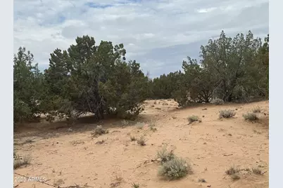 Lot 78 Witch Well Ranches -- #78, Saint Johns, AZ 85936 - Photo 4