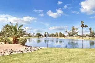 10234 E Arrowvale Dr, Sun Lakes, AZ 85248 - Photo 66