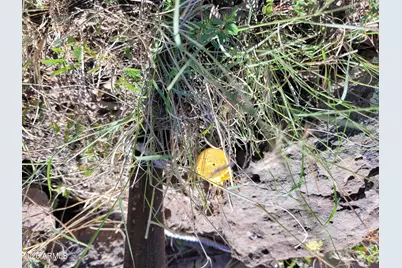 0 Shivers Lane #-, Paulden, AZ 86334 - Photo 2