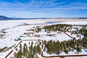 902 Fulton Spgs Dr, Mormon Lake, AZ 86038 - Photo 78