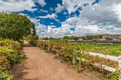 2877 E Virginia Street, Gilbert, AZ 85296 - Photo 76