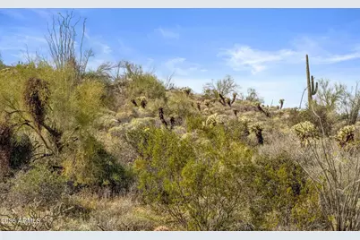 16722 N Mountain Parkway #71, Fountain Hills, AZ 85268 - Photo 6