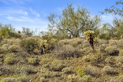 16722 N Mountain Parkway #71, Fountain Hills, AZ 85268 - Photo 8