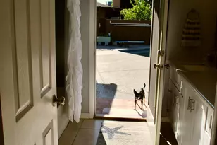 5144 W Las Palmaritas Dr, Glendale, AZ 85302 - Photo 18