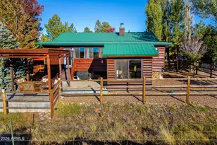 2654 Palomino Trail, Overgaard, AZ 85933 - Photo 24