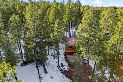 1626 Quail Trail, Forest Lakes, AZ 85931 - Photo 38