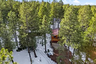 1626 Quail Trail, Forest Lakes, AZ 85931 - Photo 38