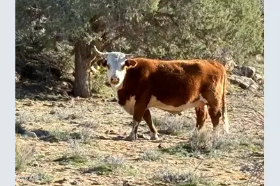 Xxxxx Knight Creek Road #1-A, Kingman, AZ 86401 - Photo 20